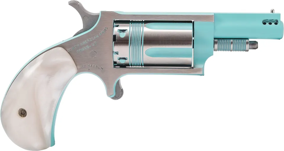 NAM MINI-REV 22M 1.625SS IRIS