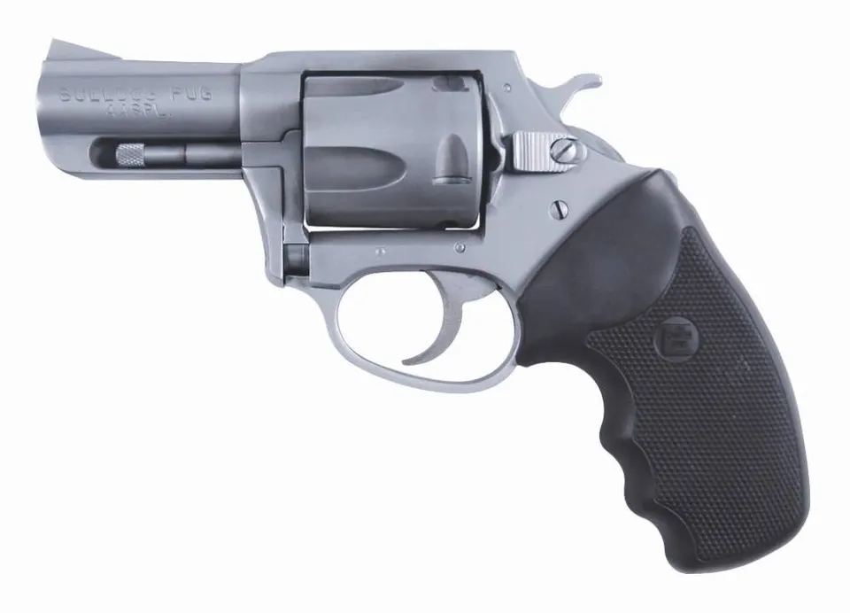 CHARTER BULLDOG 44SPC 2" SS RB