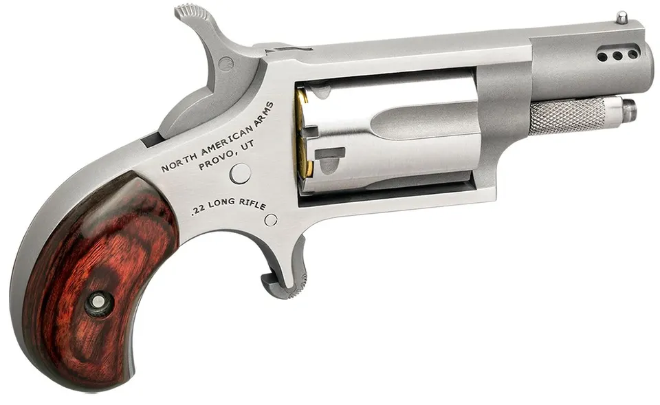 MINI 22LR REV 1-1/8" SS PORTED — NAA-22LR-P |