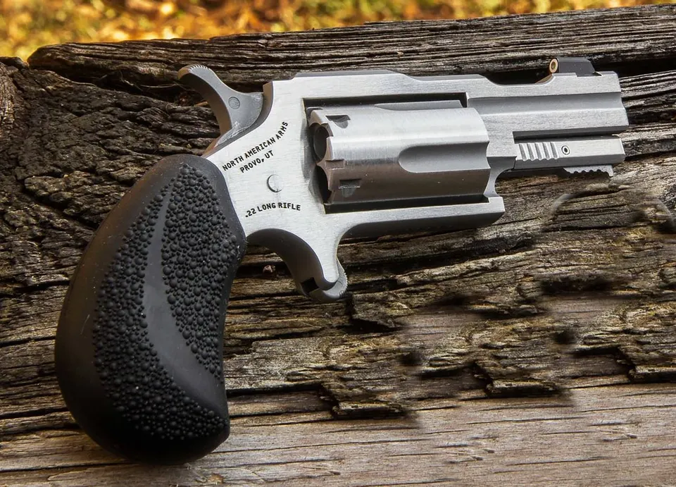 22MAG 2" BUGOUT II SS XS SGHT# — NAA-22M-TB