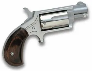 MINI 22MAG REV 1-1/8" SS — NAA-22MS