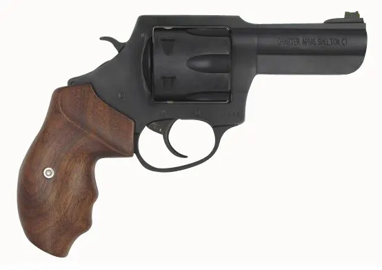 THE PROFESSIONAL 357MAG 4.2" — 6-SHOT | BLACKNITRIDE+