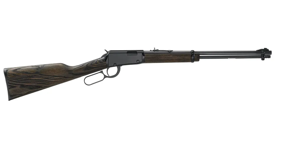 H1 GARDEN GUN 22LR BL/WD