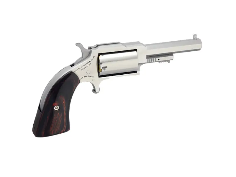 SHERIFF 22MAG 2.5" SS 5SH — NAA-1860-250