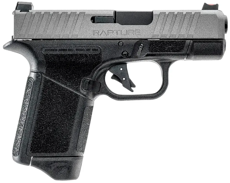 GF9 9MM 3.25" BLK/NKL 12+1 — BLACK FRAME |NICKEL SLIDE