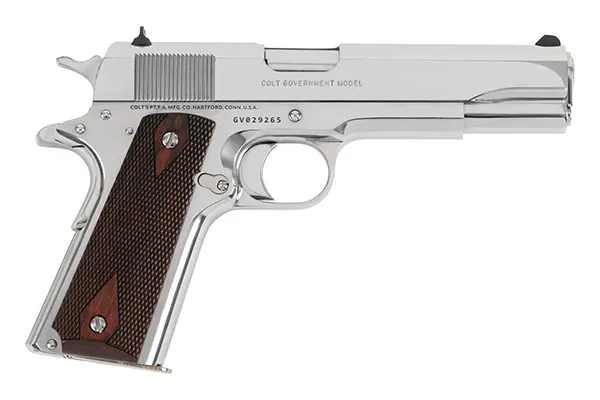 GOVERNMENT 45ACP BRIGHT SS 5"
